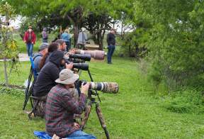 Leonabelle Turnbull Birding Center