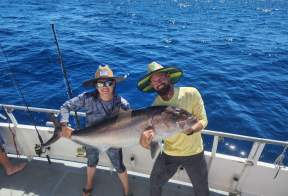 Dolphin Dock, Inc.