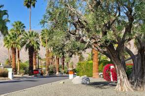 Explore Historic Deepwell Ranch Neighborhood: Self-Guided Bike Tour