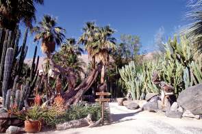 Moorton Botanical Garden: A Living Desert Legacy