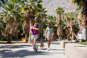 Palm Springs 3-Day LGBTQ+ Getaway
