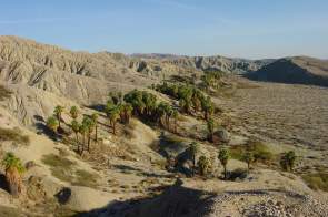 Coachella Valley Preserve: A Thousand Palms Oasis Near Palm Springs