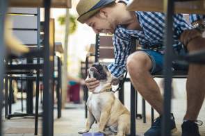 Dog-Friendly Restaurants in Palm Springs: Where to Eat With Your Pup