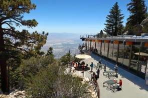 One Day in Palm Springs: The Perfect Itinerary for First-Time Visitors