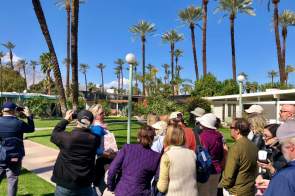 Best Palm Springs Tours: Explore Architecture, History, Nature, and Celebrity Homes