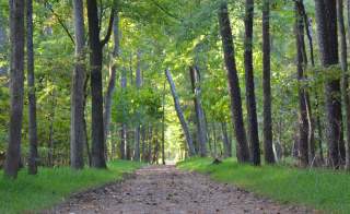 12 Things You Need to Know About Newport News Park