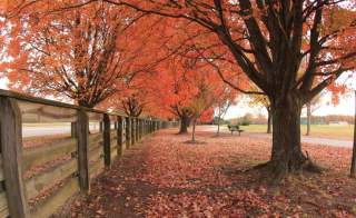 Riverview Farm Park