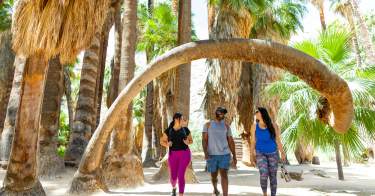 Three people hiking in Palm Canyon.