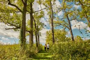Two people walking in a wooded, prairie area holding hands.