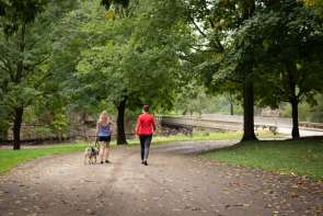 People walking dog in park