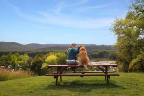 Girl and dog in nature