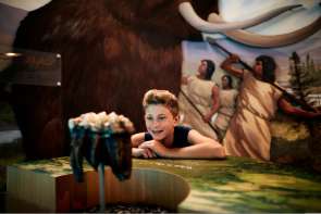 Boy looking at museum exhibit