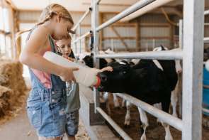 Day at the Farm: Cows, Kids and Curds