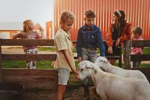 Day at the Farm: Picnic and Play
