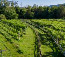 Can’t-Miss Agritourism Experiences