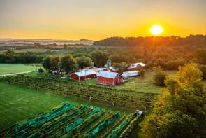 Overhead view of Galena Cellars Vineyard