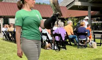 The Village Green's Nature Series