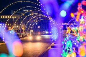 Winter wonderfest