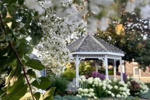 A Girl's Guide to Delaware