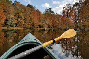 What's New with Delaware State Parks?