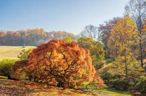 Get a Head Start on Fall Fun