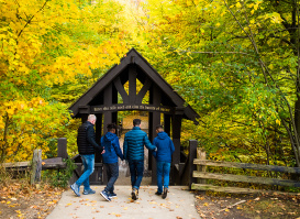 An Insider's Guide to All Four Seasons in Milwaukee
