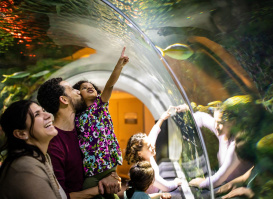 096 Discovery World in Milwaukee Family Interaction by Aquarium
