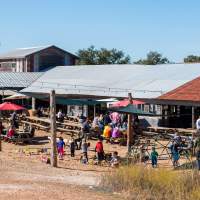 Family-Friendly Music Venues in Austin