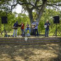 Live Music Venues in West Austin