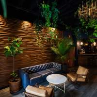 A coffee shop with a brown wall with a navy couch and tan chairs surrounded by greenery.