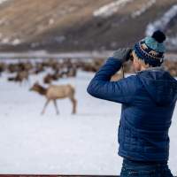 Top 12 Things to Do in Jackson, WY