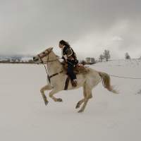 Skijoring in Wyoming: What Is It & Where Can You Watch?