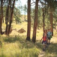 Family-Friendly Activities to Add to Your Wyoming Bucket List in 2025