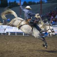 Cowboy up this Summer with these Can't-Miss Wyoming Rodeosww
