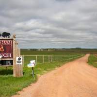 Family-Friendly Road Trip Ideas in the Black to Yellow Regions