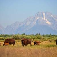 Three Spring Itineraries You Don’t Want to Skip in Wyoming