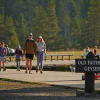 Top 12 Things to Do in Yellowstone National Park