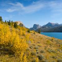 Nine Places to See Fall Foliage in Wyoming