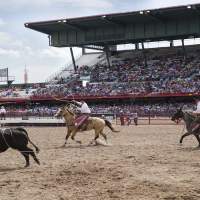 Saddle Up: The Official Guide to Rodeo Events in the Cowboy State