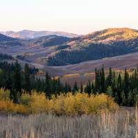 Wyoming Scenic Drives for Fall: 6 Routes to Take
