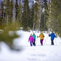 Come Out, Chill Out: Wyoming Winter & What to Know