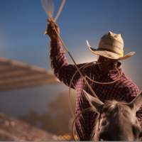 Wyoming Summer Rodeo Guide