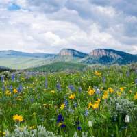 Celebrate Wyoming's 307 Day