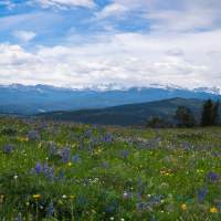 The Ultimate Joe Pickett Road Trip Through Wyoming
