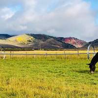 20 Things to Do in Wyoming’s Star Valley: From Wildlife to Wildflowers
