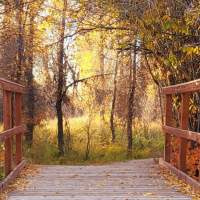 15 Ways to See Fall Colors in Wyoming