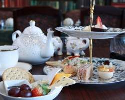 A tea setting at The Kraken's Cup Tea Garden and Eclectic Eatery