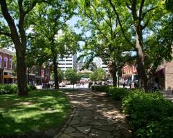 Rock path surrounded by trees in Historic Market Square In Knoxville, TN