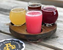 Abridged Beer Company