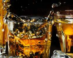 Bootlegger Day Hero Image